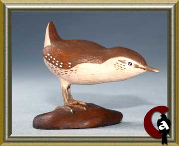 Winter wren - Troglodytes troglodytes